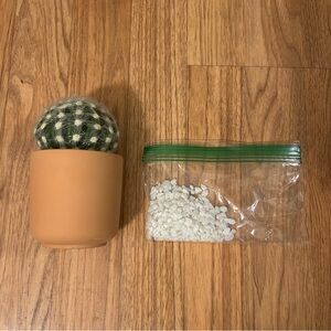 ‼️DIY Succulent Plant‼️